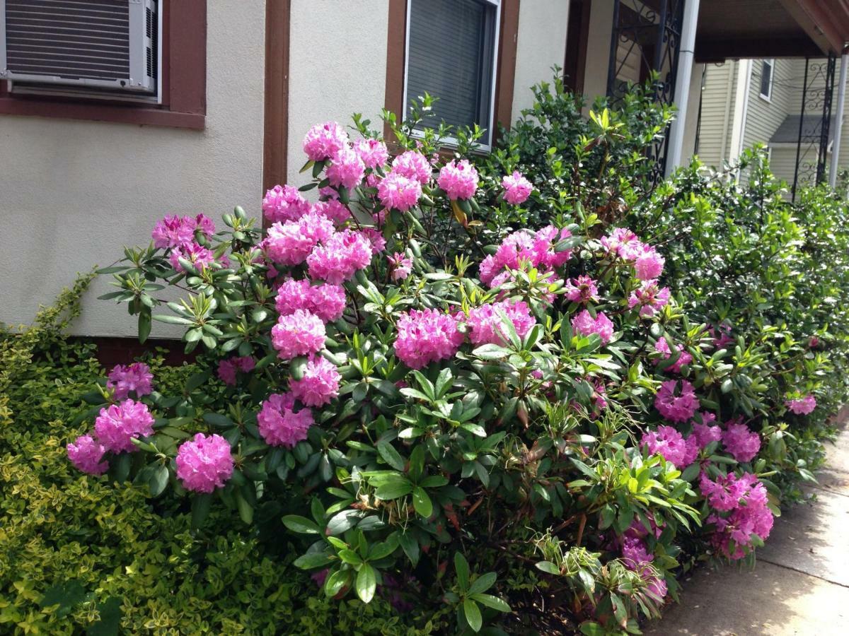 Bowers House Bnb Harvard Mit Cambridge Boston Somerville Zewnętrze zdjęcie